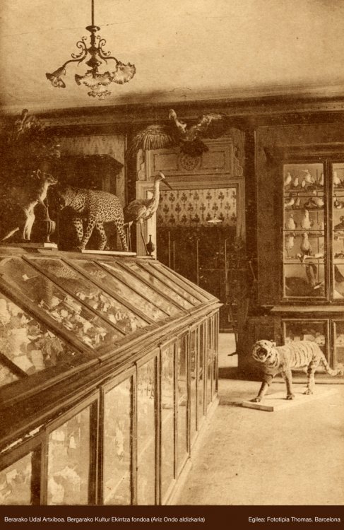 Ancient photograph of the Cabinet of Sciences at the Royal Seminary in Bergara