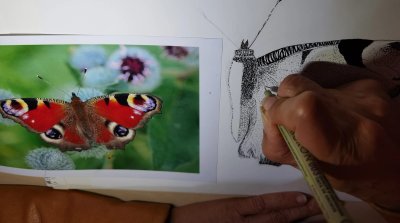 Dibujando una mariposa roja