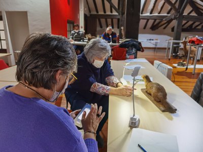 Museoaren bildumako pieza erreala marrazten